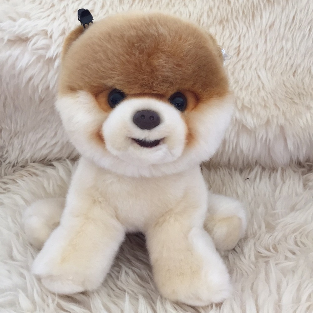 Meet your Posher, Mila